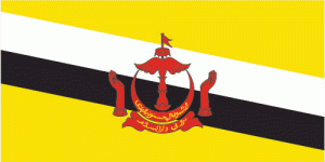 Brunei flag