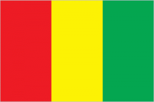 Guinea flag