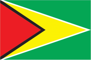 Guyana flag