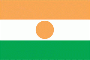 Niger flag