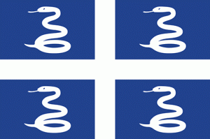 Martinique flag