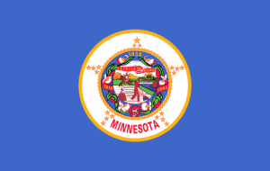 Minnesota flag