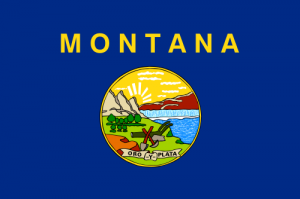 Montana flag