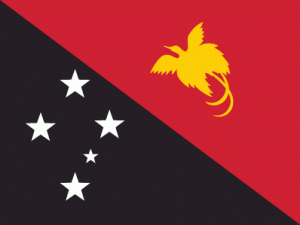 Papua New Guinea flag